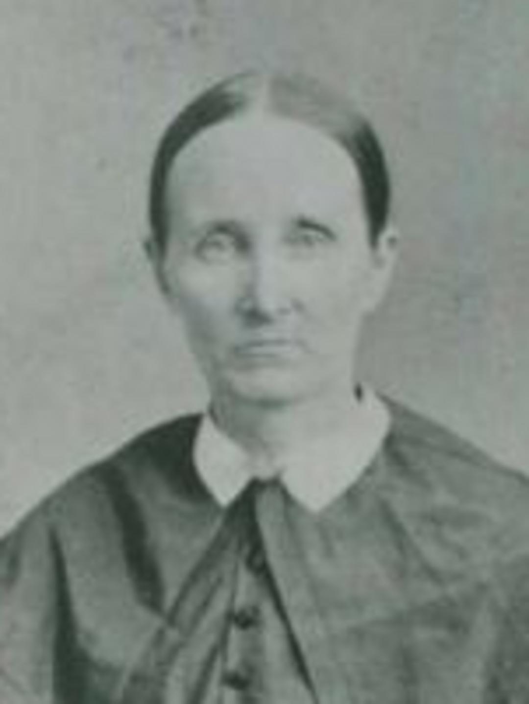 Jane Watson Howe (1830 - 1863) Profile